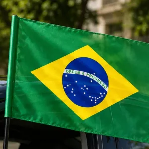 Bandeira Brasil de Tecido com Hastes